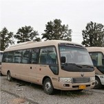 لند ارک خودروی سواری انرژی خالص برقی